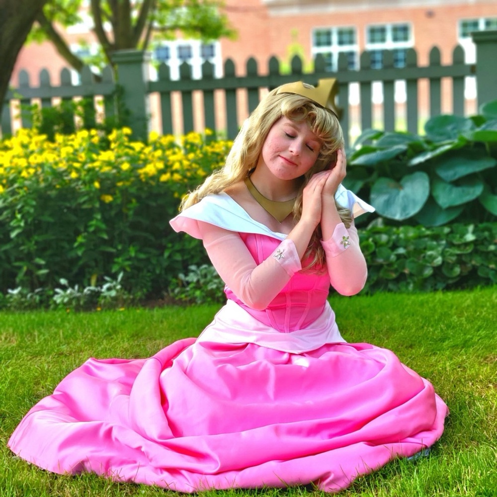 Sleeping Beauty Adult Dress